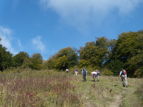Climbing Shoulder of Mutton Hill Petersfield to Liss