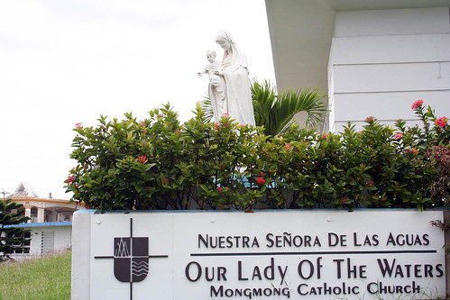 Our Lady of the Waters