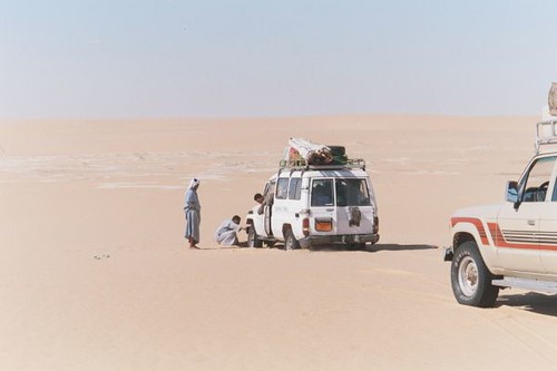 desert safari camel camps