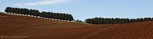 trees panorama landscape earth farm au trafalgar australia victoria dirt reddirt digitalcameraclub yourwonderland trafalgarthorpdaleroadvictoriaaustralia
