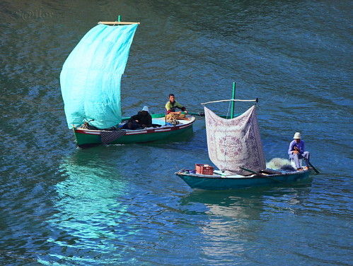 morning reflection green net geotagged boats canal fishermen egypt sail oar rug tarpaulin suez mywinners silor geo:lat=30613686 geo:lon=32321777