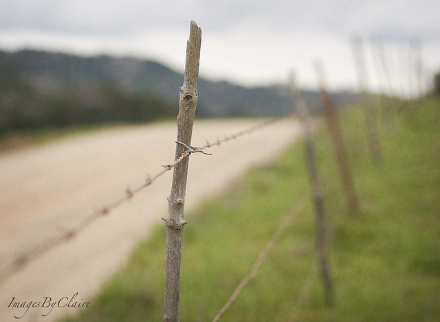 Fence friday...country road