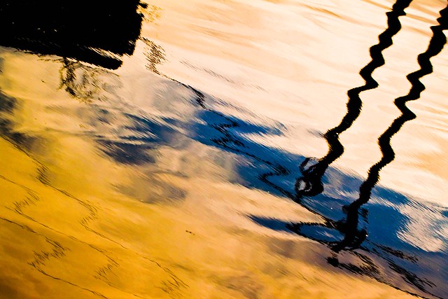 Abstract in canal water