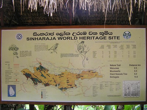 Mon, 10/31/2005 - 08:34 - Sinharaja World Heritage Site.
Credit: CTFS