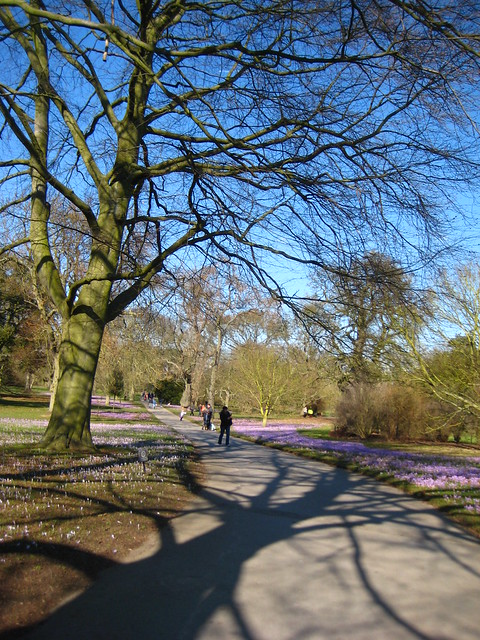 Spring at the Royal Botanic Gardens, Kew