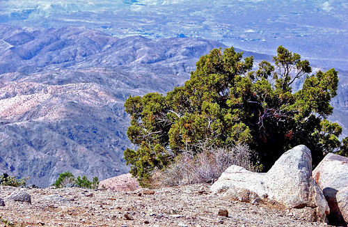 High and Low Desert, Joshua Tree NP 4-13 | by inkknife_2000 (14 million views)