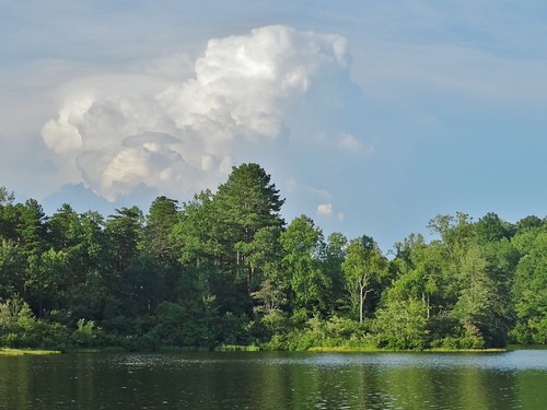 Above the Water (7.30.15) | by e3spears