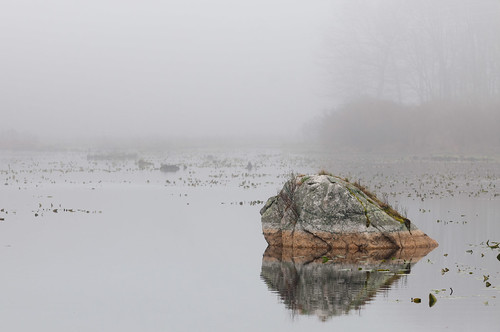 Lone Rock in the Fog | by danwolfgang