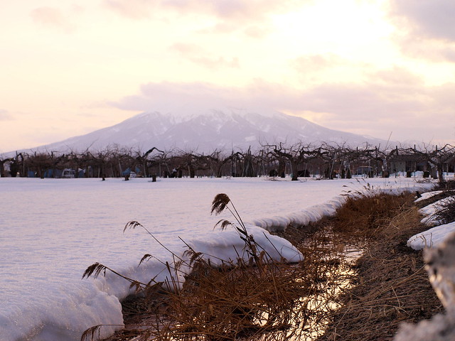 Mount Iwaki ～岩木山。