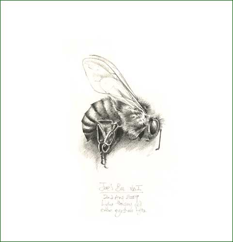 Honey Bee rubber stamp from The English Stamp Company.-saigonsouth.com.vn