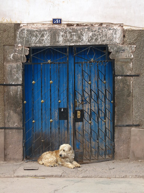 Dog & door, Urubamba