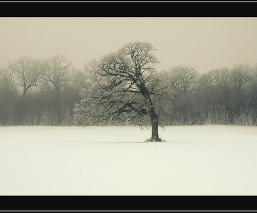 in the dead of winter ... by OneEyedJax