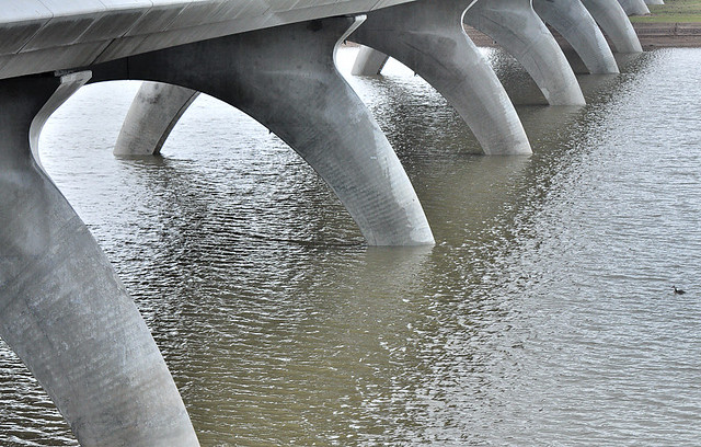 Bridge and Grebe