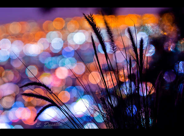 Night Lights by Emmanuel_D.Photography