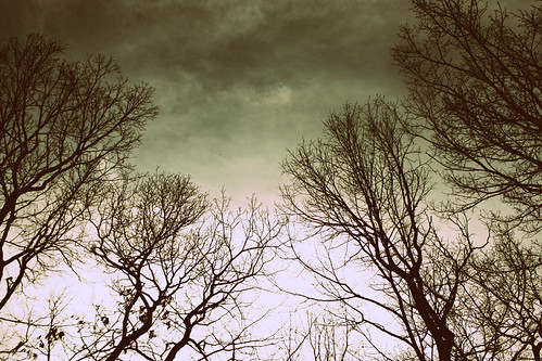 void | by stephanie marie sarah