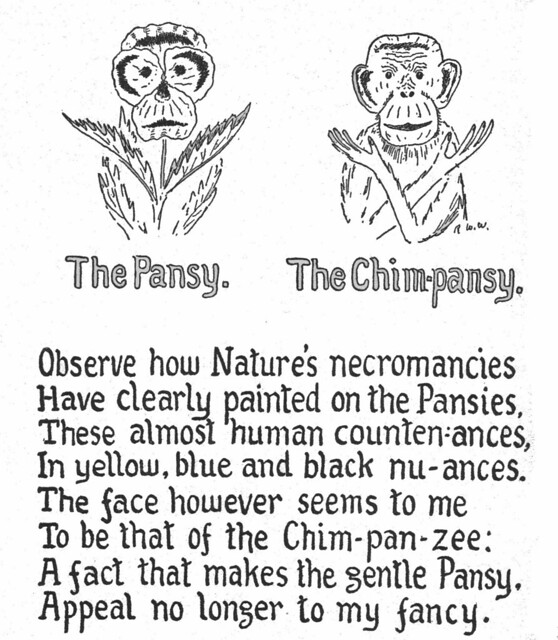 The pansy vs. the Chim-pansy by Robert W. Wood