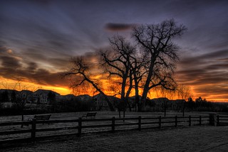 Grant Ranch Sunrise