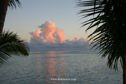IMG_2877 le vasa 10 sunset across apolima strait - samoa et by troppo fishing adventures, Another beautiful sunset looking north of Manono to Savii