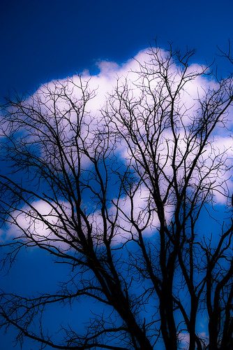 autumn fall silhouette wisconsin finepix fujifilm nikkor 2870mmf3545d polarizer 2009 s3pro dousman