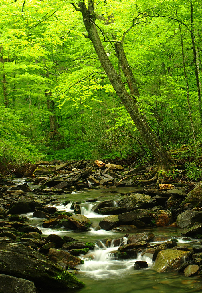 Great Smoky Mountains National Park | vtgohokies | Flickr
