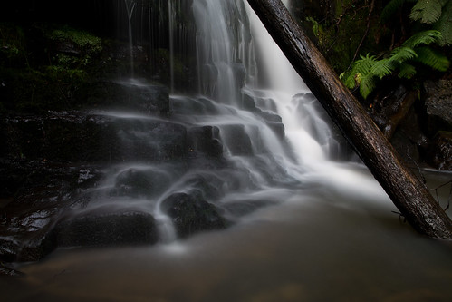 lilydale lilydalefalls waterfall falls log longexposure water flow tasmania sigma 28mm