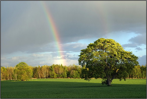 landscape cumbria rainbows calthwaite colink321 sonya7r ©colinkirkwood2015 sonyfe42470oss