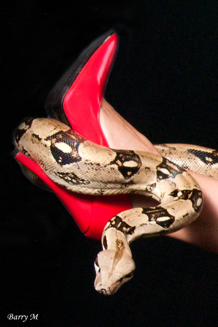 Snake n Red Heels