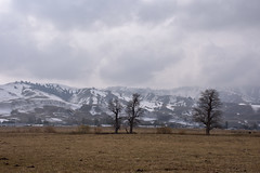 北疆-那拉提大草原