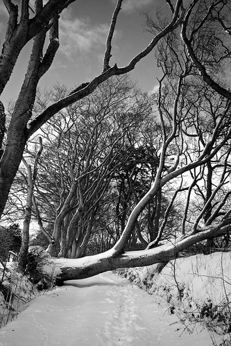 road white snow cold wet canon geotagged mono scotland banff morayshire pleasureprinciple 40d canon40d geo:lat=57657663 geo:lon=2542305