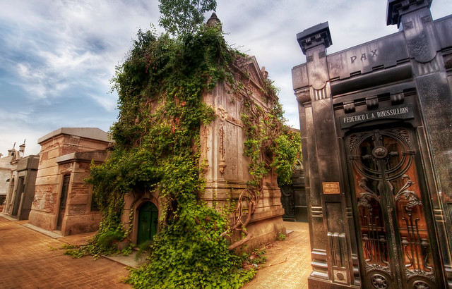 The Overgrown Crypt