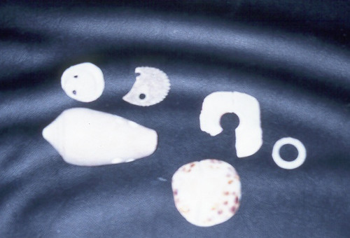 Shells and Shell Objects