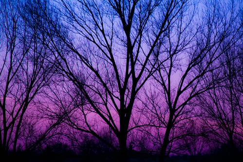 A Violet Sunset by Moon_0903