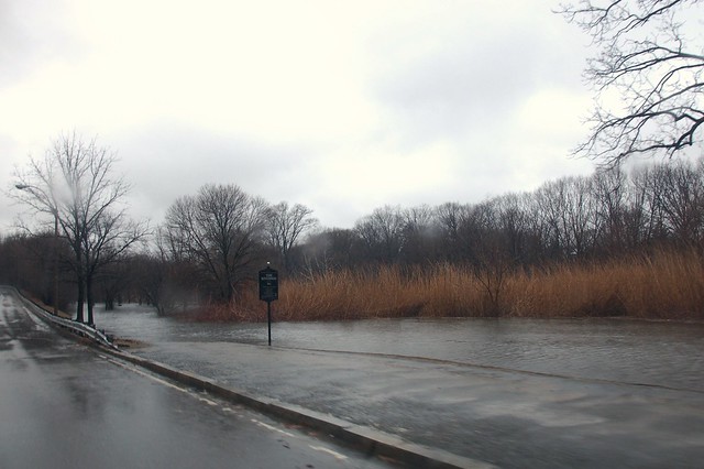 Riverway park by Longwood flooded by the Muddy River