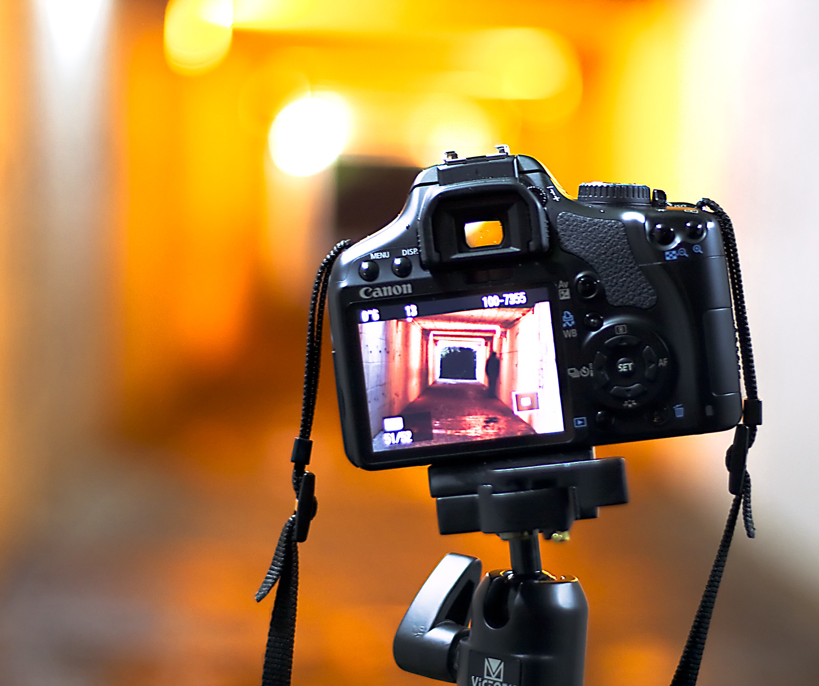 photographers... | Flickr