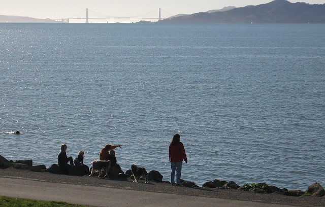 The Point Isabel dog park is almost directly across from the Golden Gate bridge.