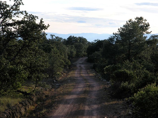 The road - El camino entre Refugio de los Pozos y Ameca, Zacatecas, Mexico