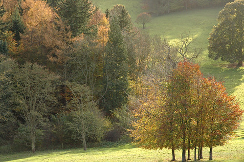 Hanging on to the colour View from Polesden Lacey in Autumn