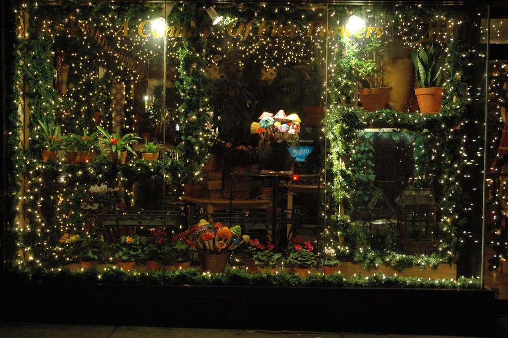 Window Display