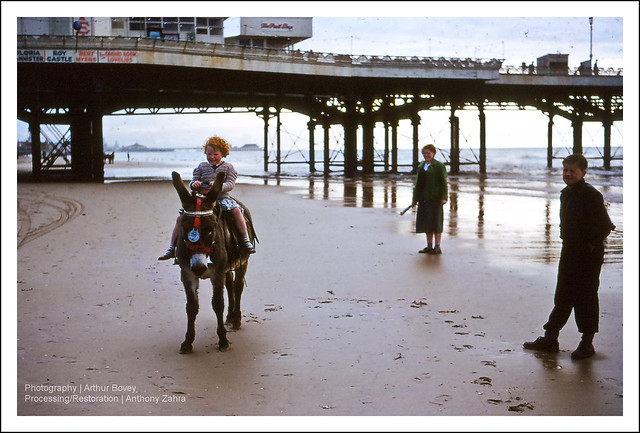 Blackpool Donkey Ride(Circa 1960)