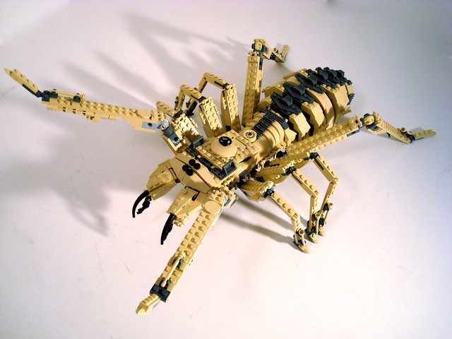 Camel Spider...Aggressive Mode Front