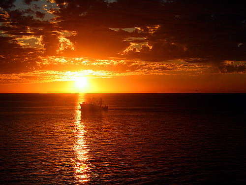 california sunset sea fish boat fishing gulf gulfofcalifornia cortéz seaofcortéz