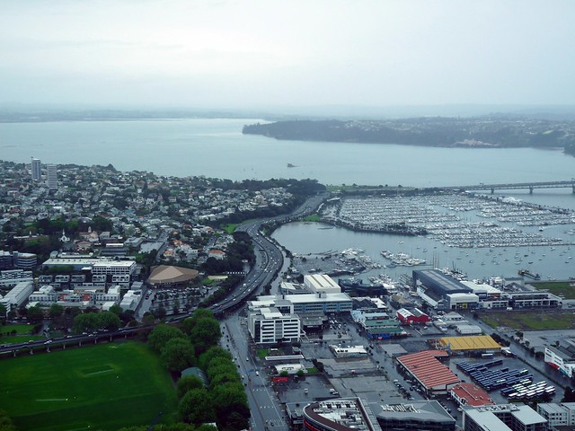 watery Auckland