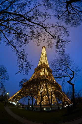 The Grande Dame of Paris by Vincent Montibus