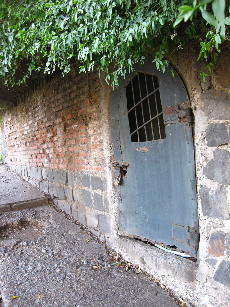 Cellardoor