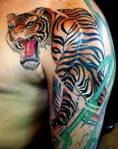 Asian Style Tiger Tattoo | Large scale Tiger with bamboo sle… | Flickr
