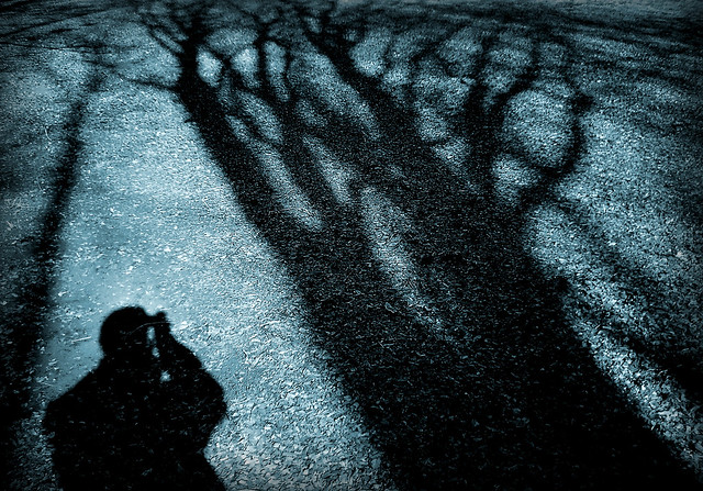 Shadows & me