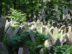 Old Jewish Cemetery (Starý židovský høbitov)