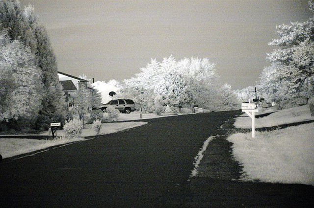 A Little Deeper Into The IR | This is a street scene taken n… | Flickr