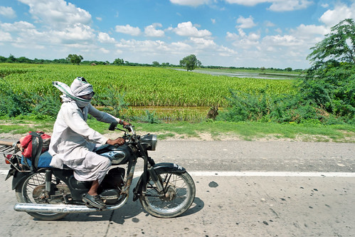 Getting Around India - 02 (South of Delhi, 7-28-05) | by Rick Quisenberry