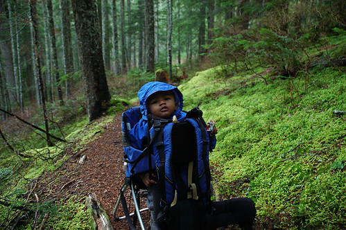 My hiking buddy